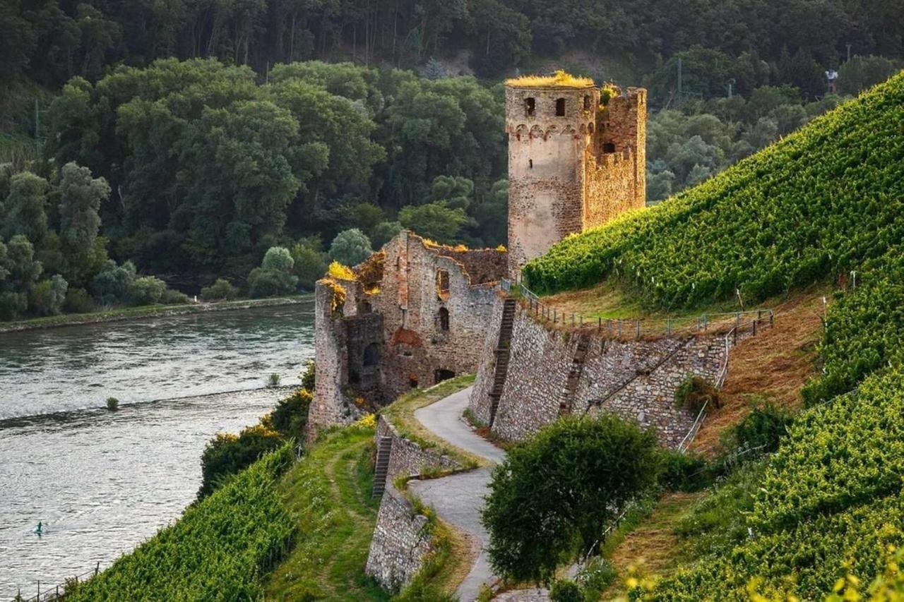 Hotel Trapp Ruedesheim am Rhein Luaran gambar