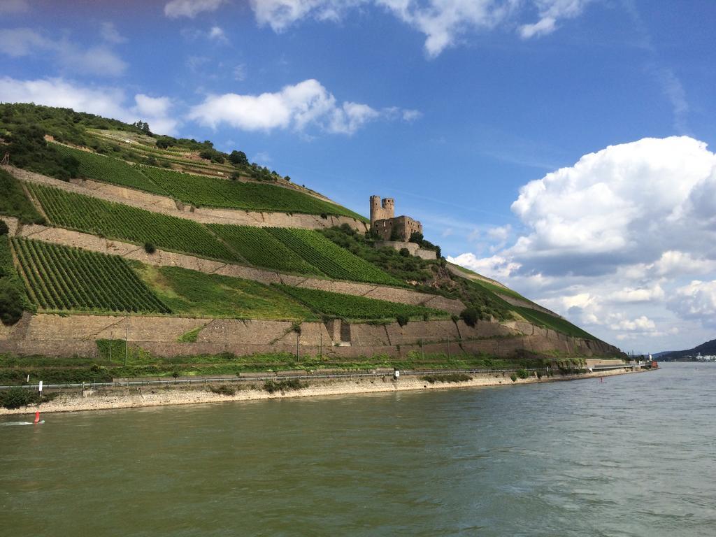 Hotel Trapp Ruedesheim am Rhein Luaran gambar