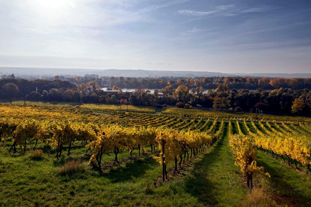 Hotel Trapp Ruedesheim am Rhein Luaran gambar