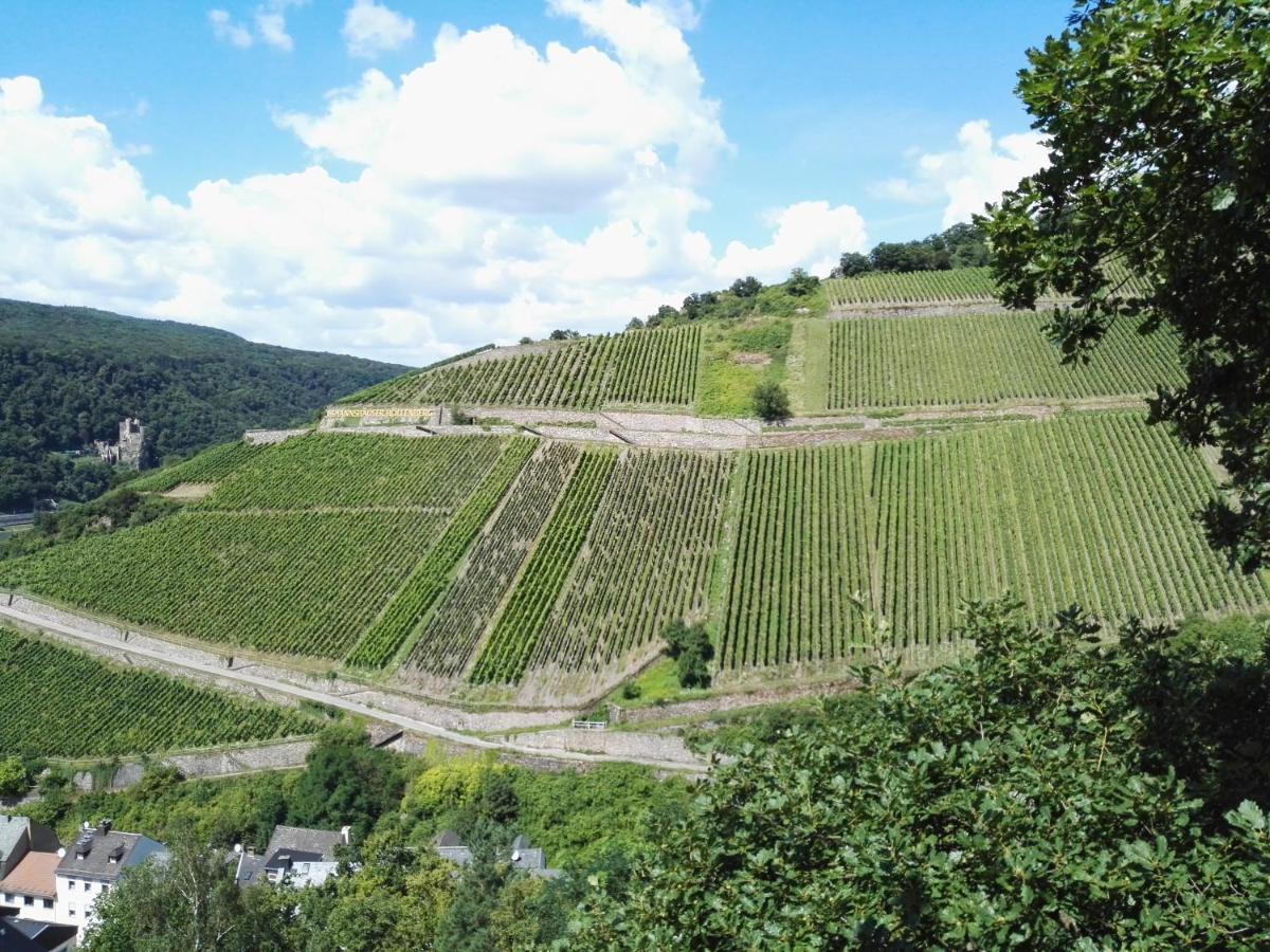 Hotel Trapp Ruedesheim am Rhein Luaran gambar